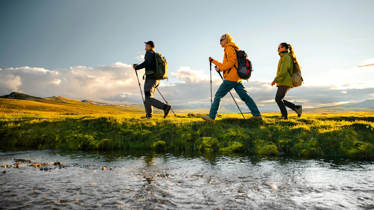 Hikers group with trekking poles walk along a stream on a mountain plateau at sunset, low angle view in scottish highlands