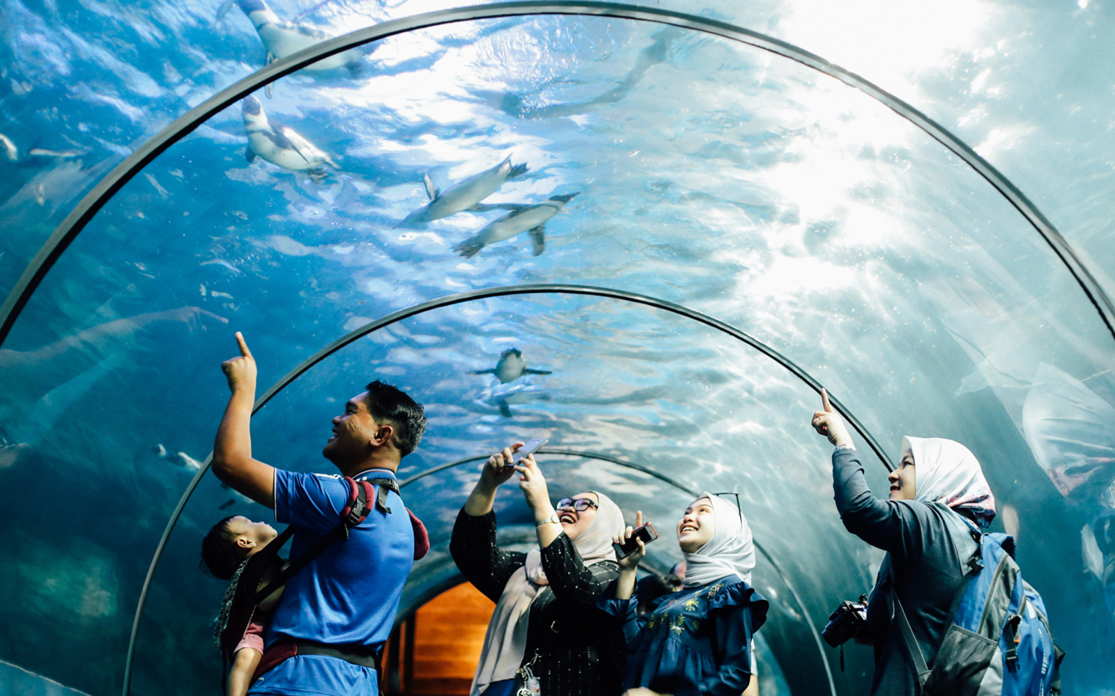 Langkawi Underwater World Entry Tickets
