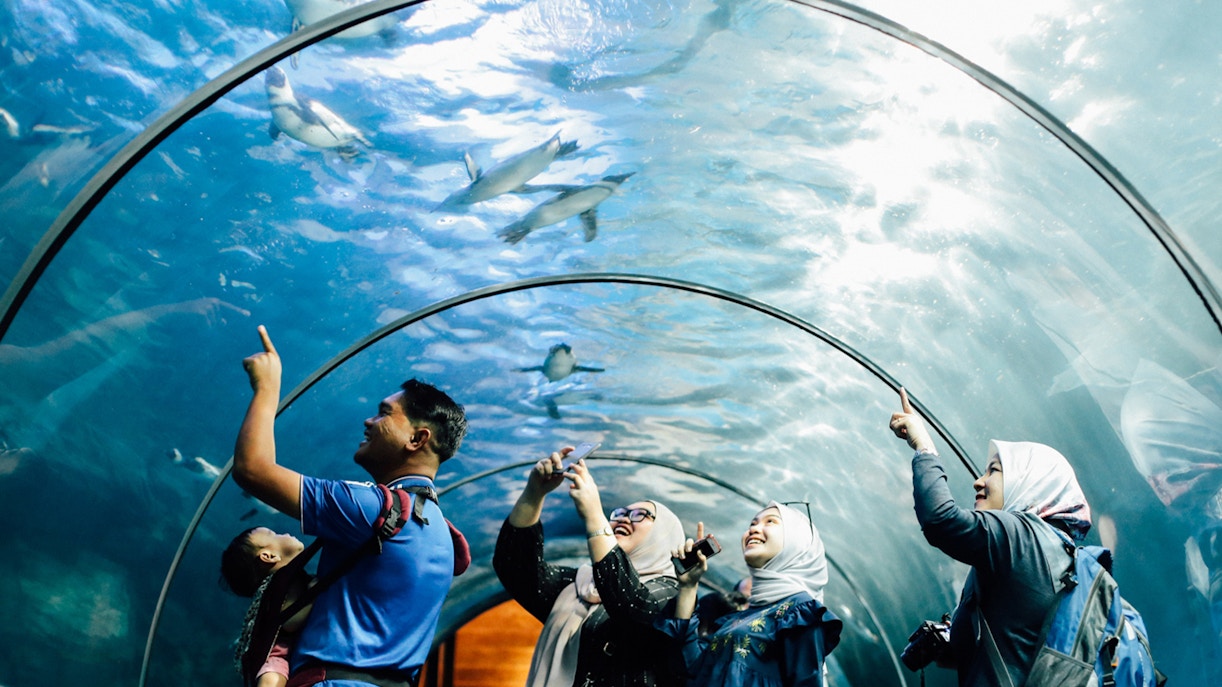 Langkawi Underwater World Entry Tickets