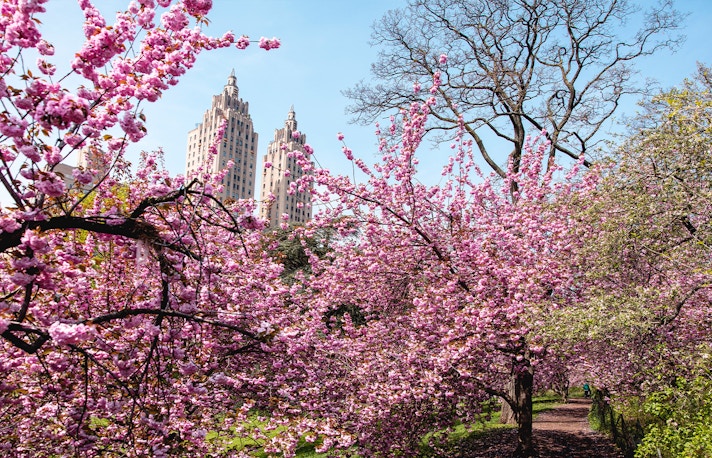 New York in April