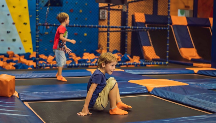 Sprungart Wiener Neustadt