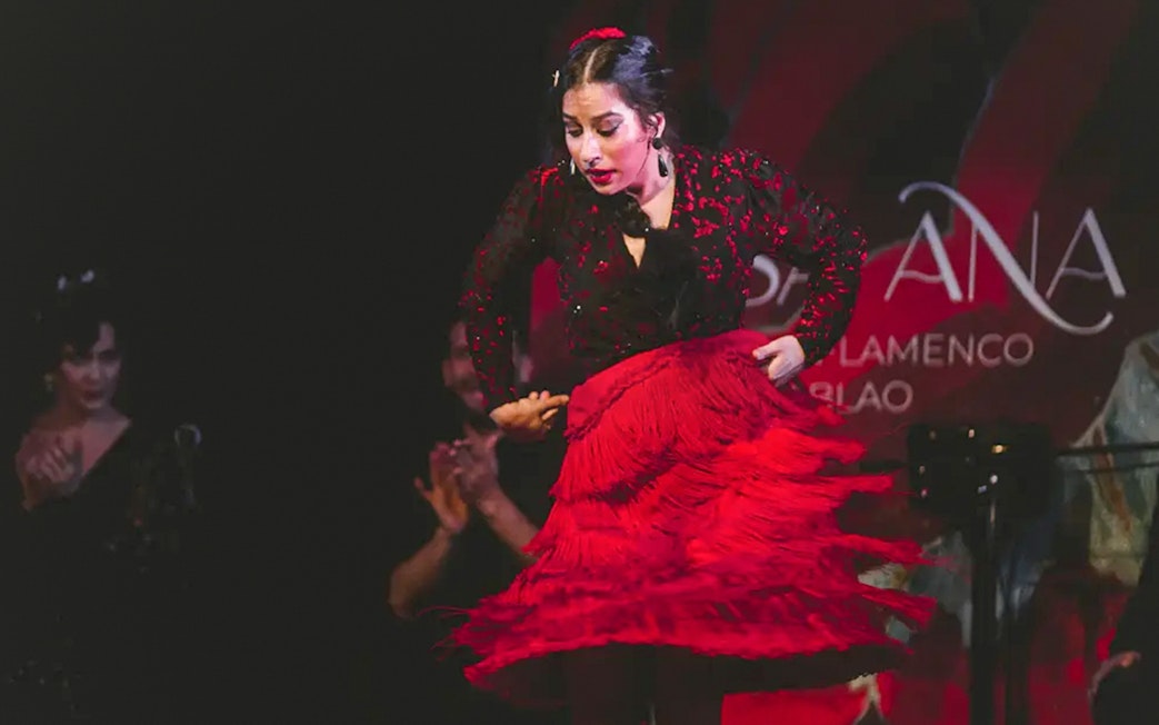 Flamenco dancer performing at Casa Ana Flamenco Show.
