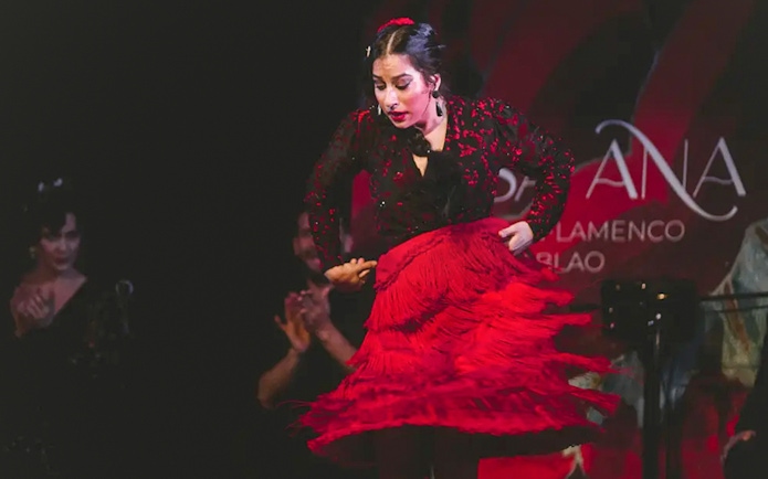 Flamenco dancer performing at Casa Ana Flamenco Show.