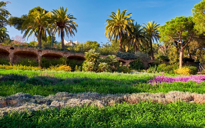 Park Guell's Gardens of Austria with palm trees and vibrant greenery in Barcelona, Spain.