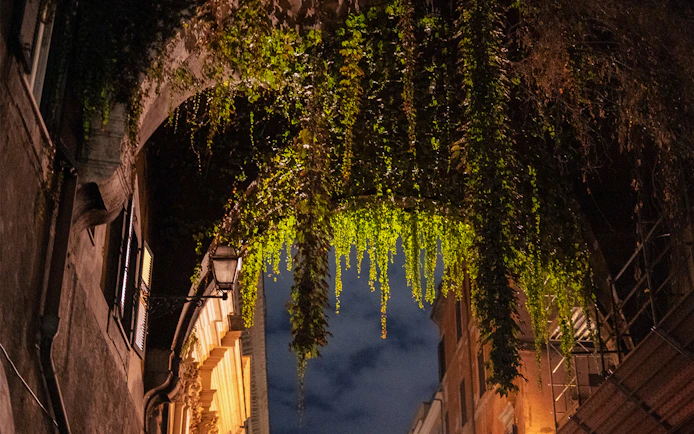 Vine-covered archway at night on a haunted ghost tour in Rome.