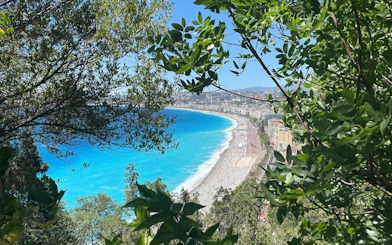 Nice coastline view through trees, featuring the Promenade des Anglais and beach, part of the city exploration game.