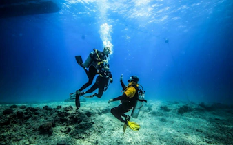 Scuba divers exploring coral reef during guided dive in Sharm El Sheikh.