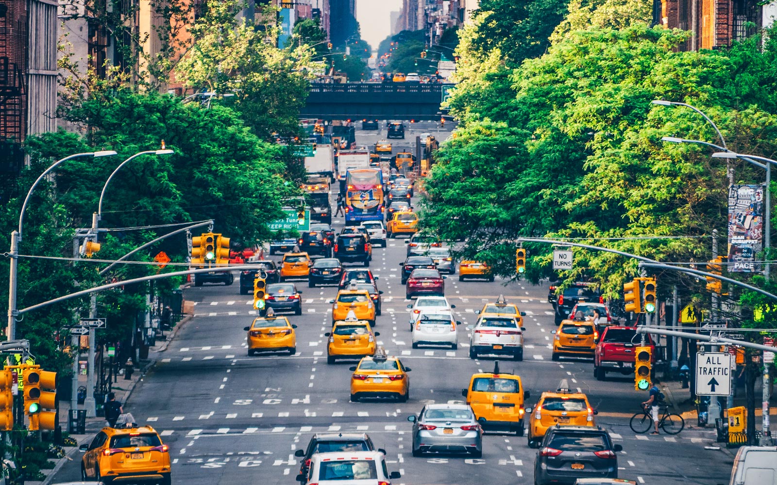 que ver en nueva york