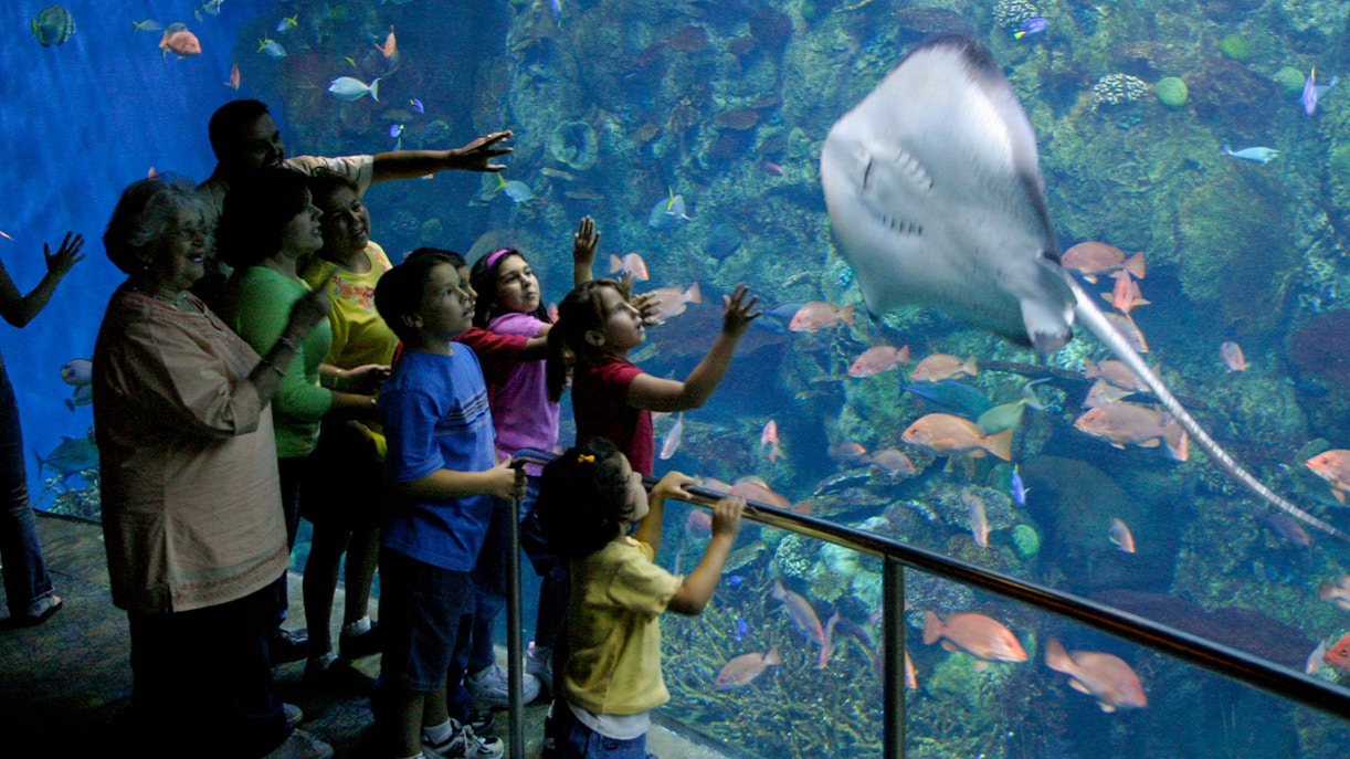 Family exploring marine exhibits at Aquarium of the Pacific, Long Beach.