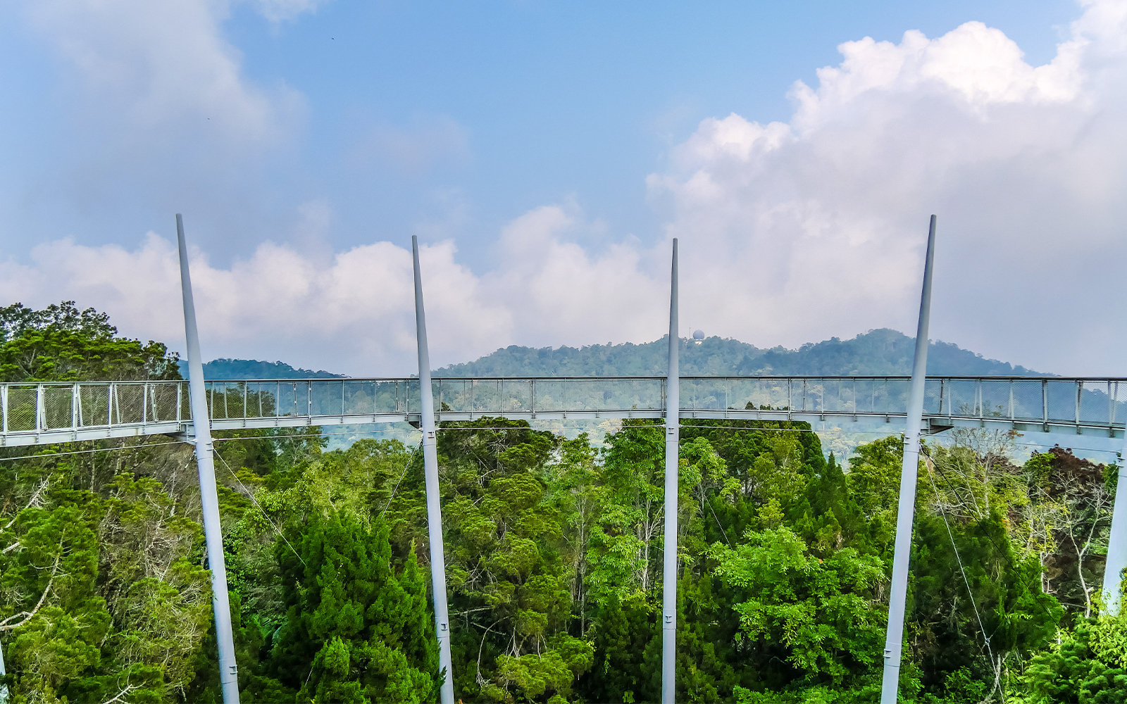Curtis Crest Tree Top Walk at Habitat Penang Hill, Malaysia, with tourists enjoying the panoramic view from the wooden walkway