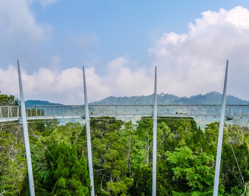 Curtis Crest Tree Top Walk at Habitat Penang Hill, Malaysia, with tourists enjoying the panoramic view from the wooden walkway