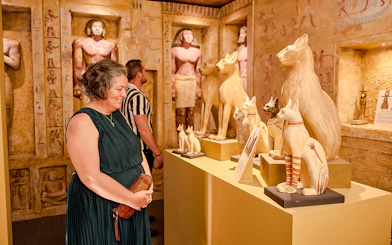 Visitors admire Egyptian cat statues in a museum exhibit.