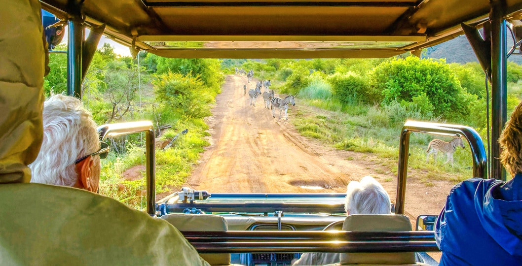 Tourists in all-terrain vehicle exploring a herd of zebra, Pilanesberg National Park, South Africa.