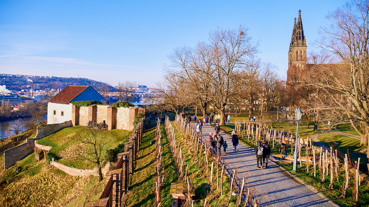 gothic cellar at vysehrad