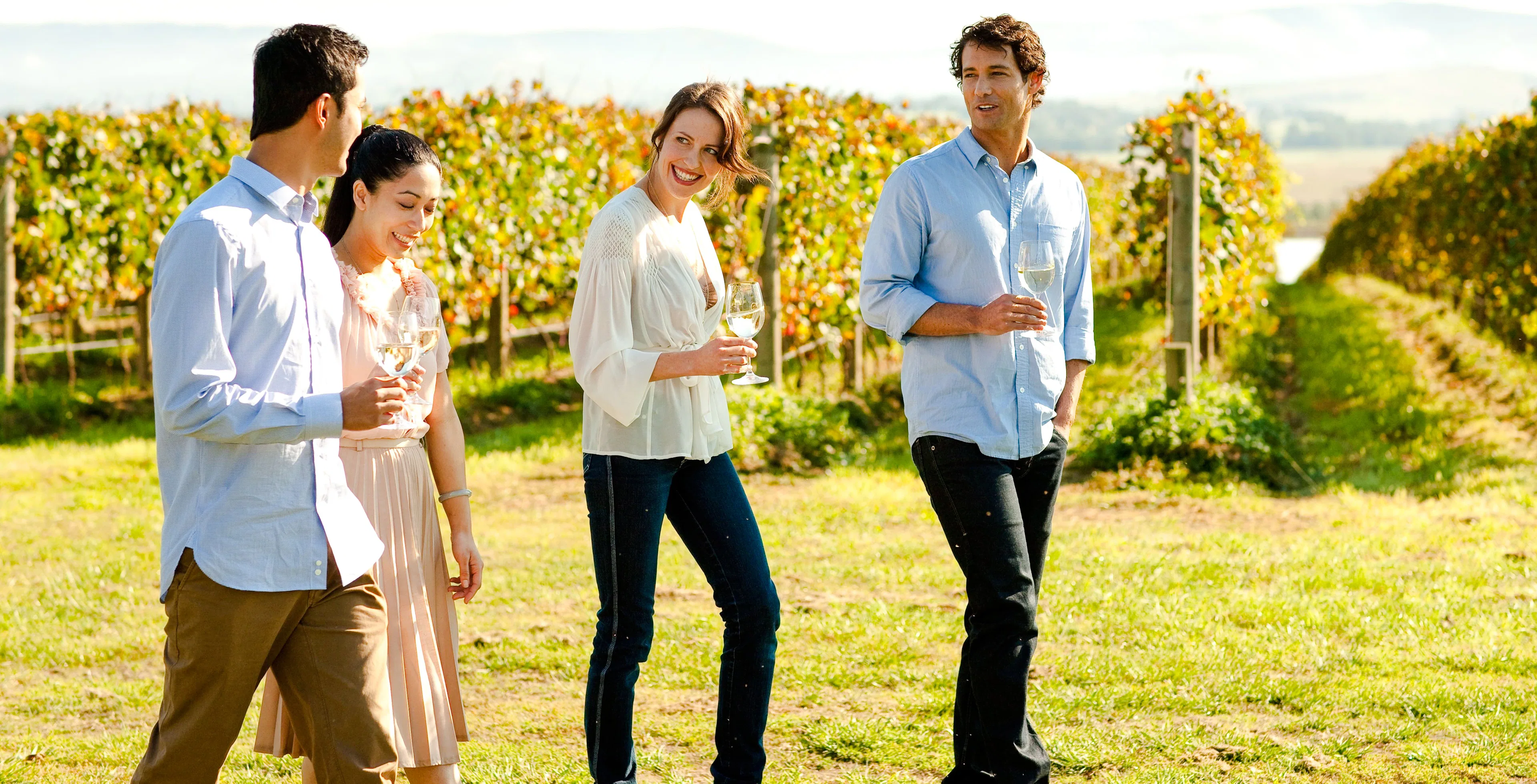 People enjoying wine in Yarra Valley vineyard.