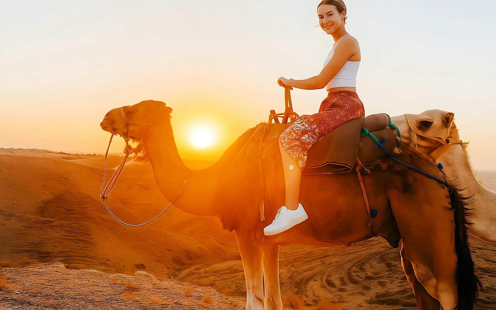 Camel ride at sunset in Agafay Desert, Marrakech.
