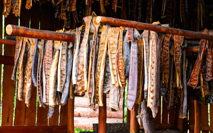 Salmon filets hanging to dry in an Alaskan smokehouse.