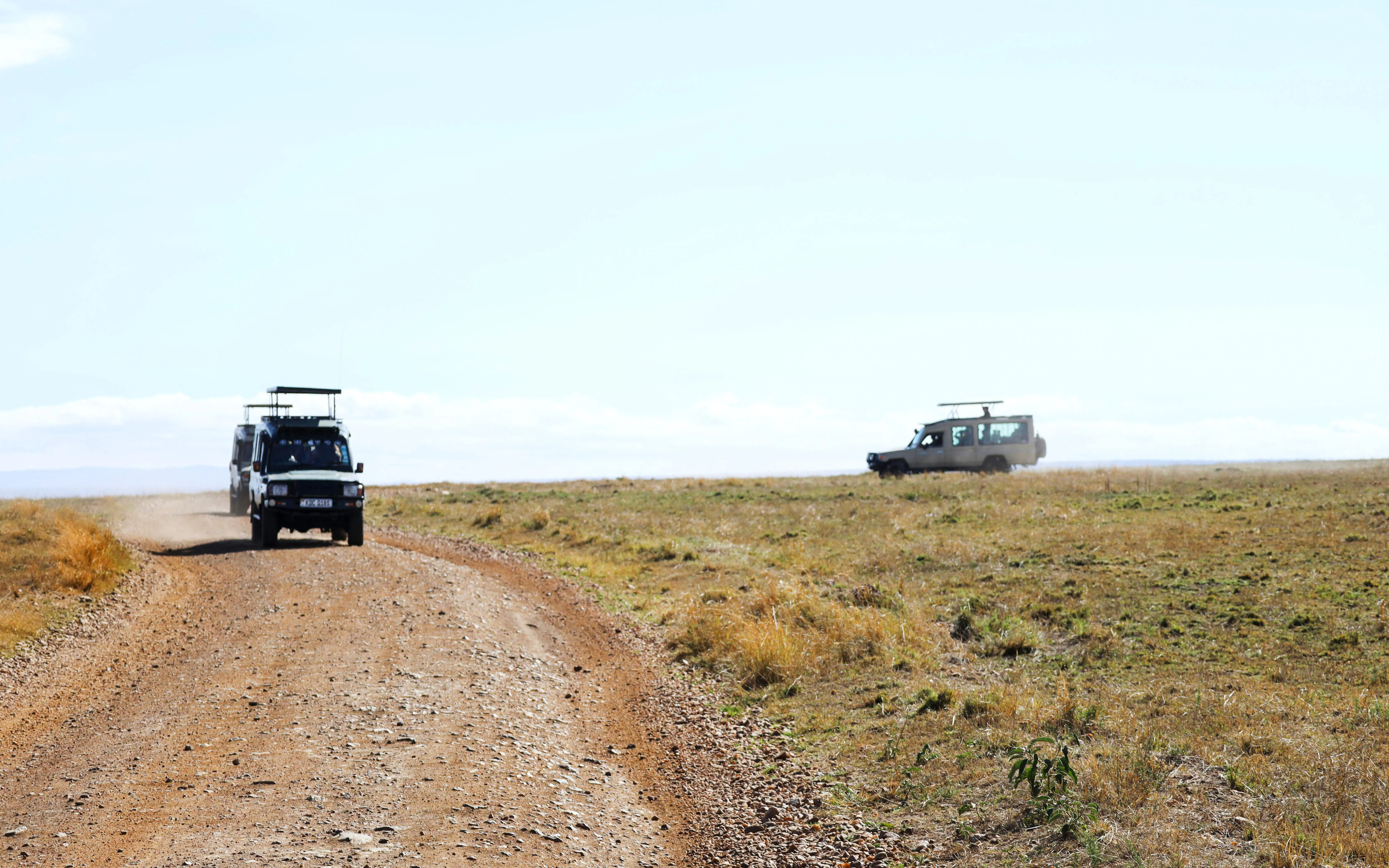 Safari jeeps driving on a dirt road in Masai Mara, Kenya.