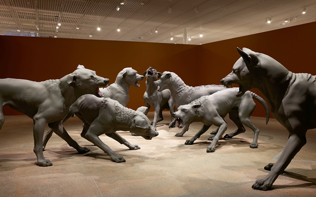 Sculpture installation "Havoc" by Ron Mueck at Art Gallery of New South Wales, Sydney.