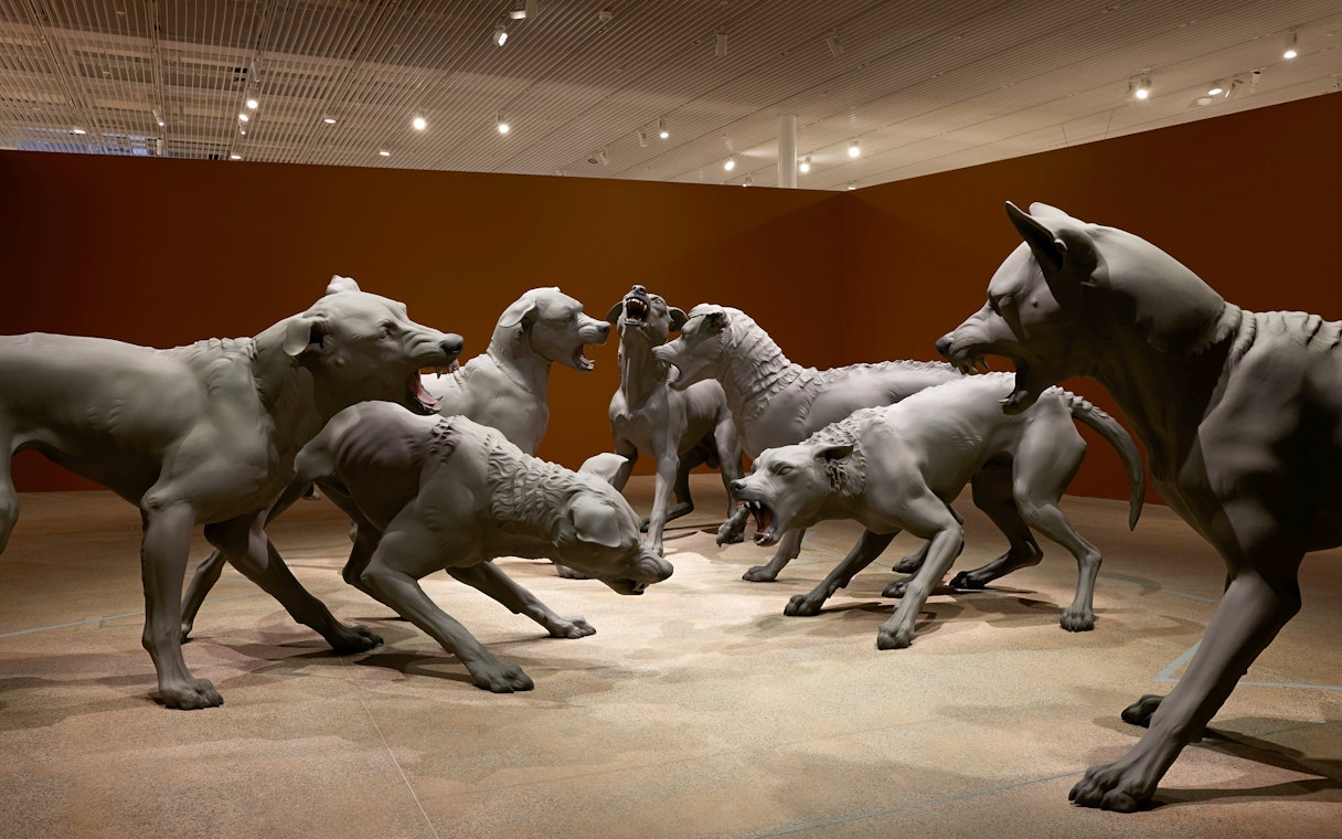 Sculpture installation "Havoc" by Ron Mueck at Art Gallery of New South Wales, Sydney.