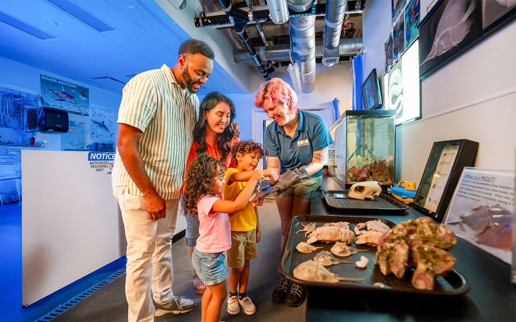 Guests interacting with marine life during a behind-the-scenes tour at Sea Life Aquarium, Orlando.