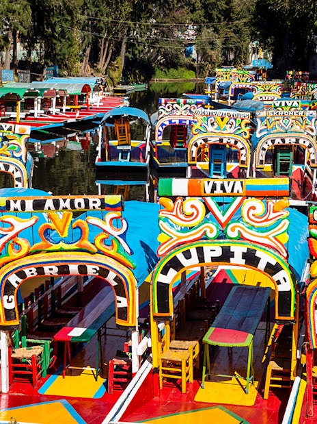Colorful trajineras lined up in Xochimilco, Mexico City canal.
