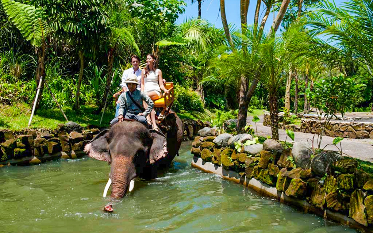 Elephant ride at Bali Zoo with tourists, surrounded by lush greenery.