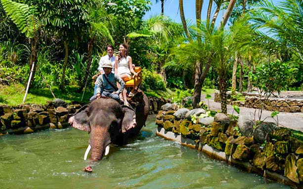 Elephant ride at Bali Zoo with tourists, surrounded by lush greenery.