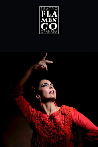Sensaciones - Teatro Flamenco Granada product image
