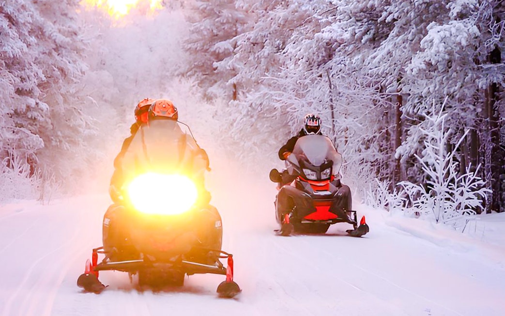 Snowmobilers riding through snowy forest during 1-Hour Snowmobile Safari Adventure from Rovaniemi.