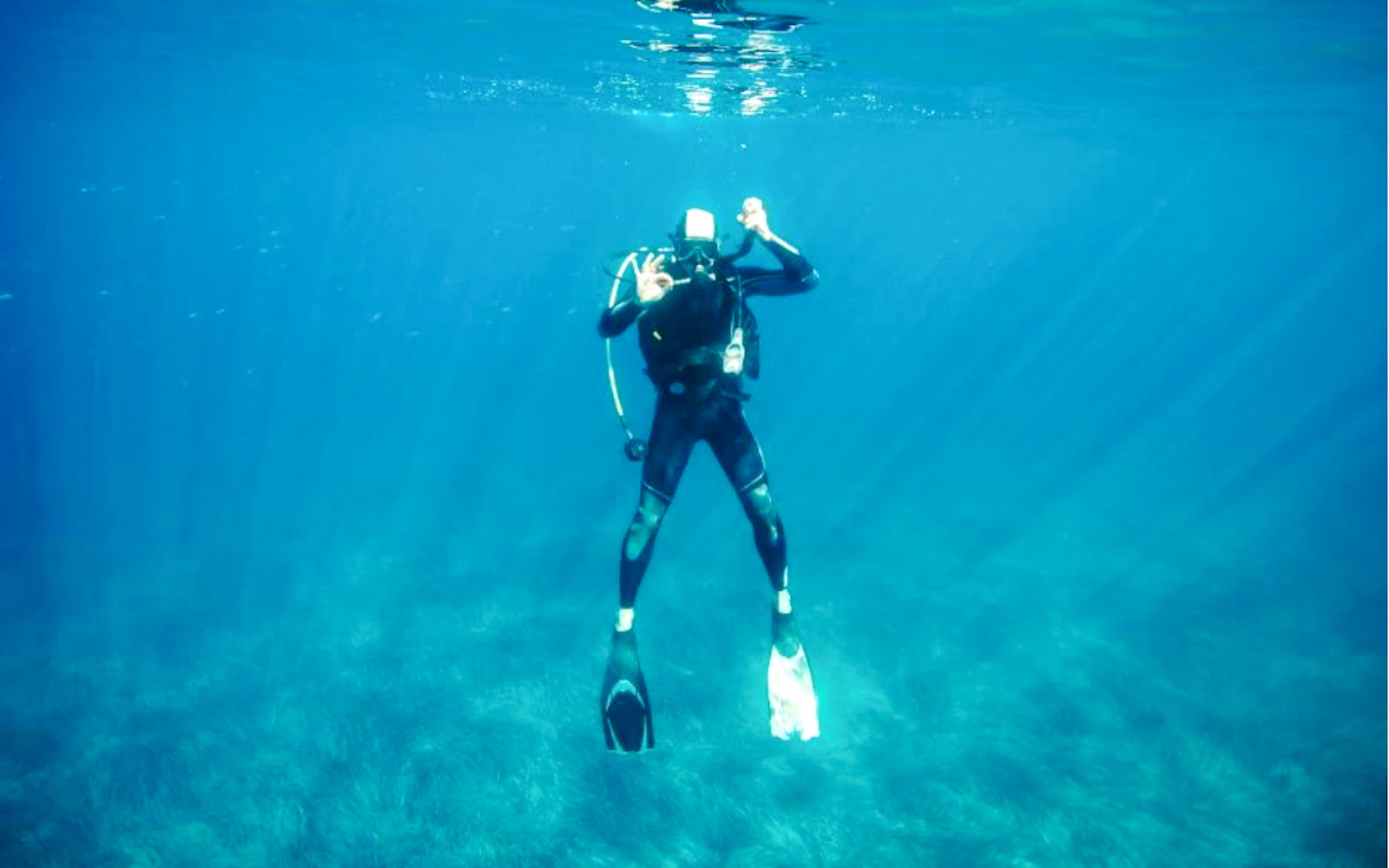 Angra dos Reis Guided Scuba Diving with Equipment (Product 55907)