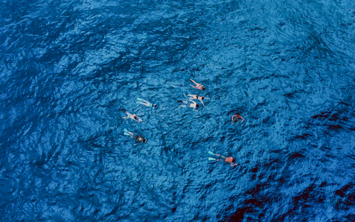 Snorkelers in blue ocean during O'ahu Shark Dive Tour.