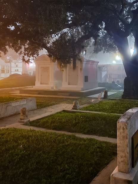 New Orleans cemetery at night with tombstones and trees.