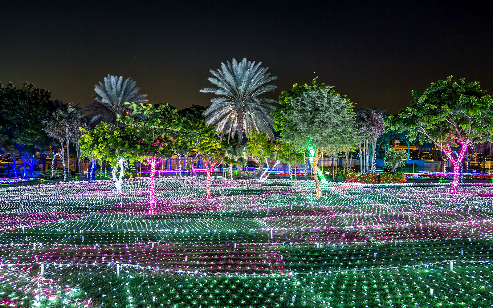Dubai Garden Glow illuminated trees and light displays at night.