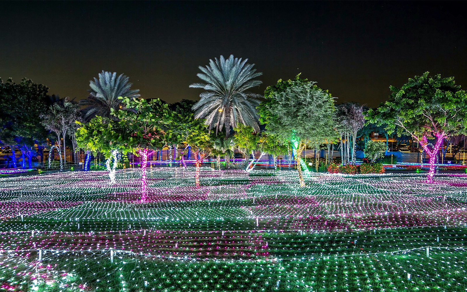 Dubai Garden Glow illuminated trees and light displays at night.