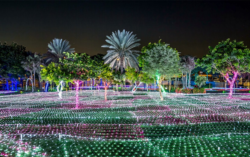Dubai Garden Glow illuminated trees and light displays at night.