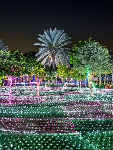 Dubai Garden Glow illuminated trees and light displays at night.