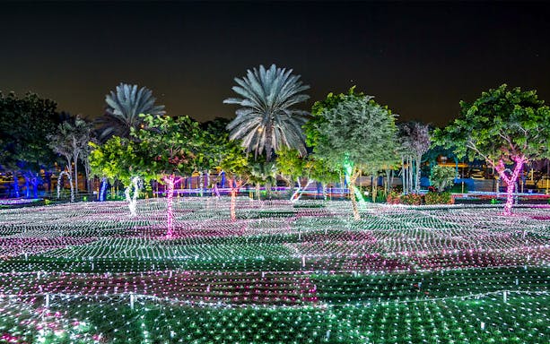Dubai Garden Glow illuminated trees and light displays at night.