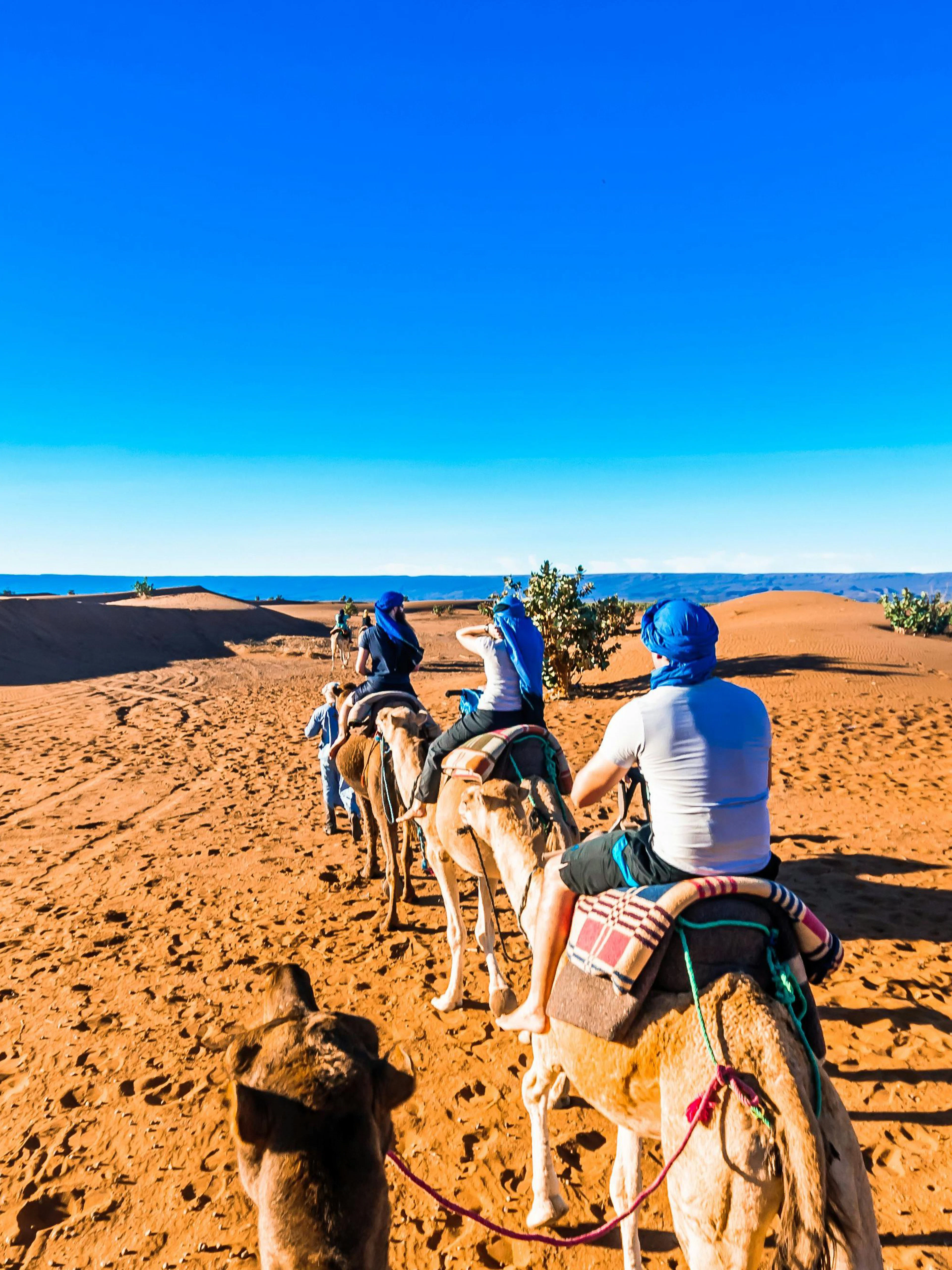 Camel trek through the sandy desert landscape of Morocco.