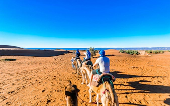 Camel trek through the sandy desert landscape of Morocco.