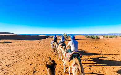 Camel trek through the sandy desert landscape of Morocco.