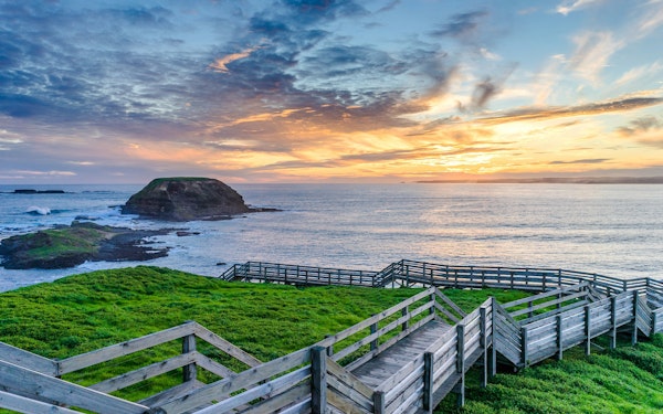 From Melbourne: Half/Full-Day Phillip Island Day Trip with Penguin Parade