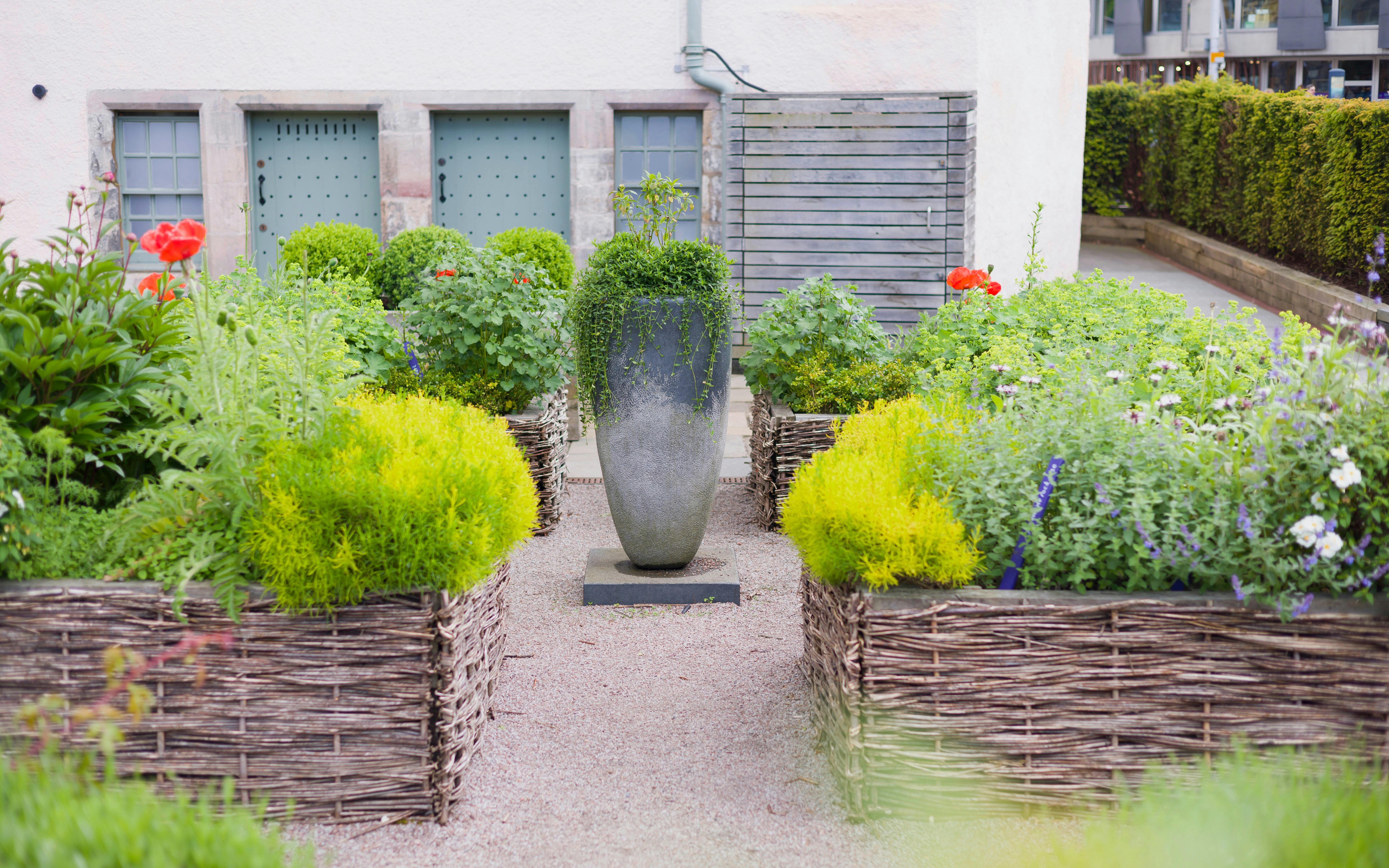 Physic garden with woven planters and diverse herbs in a courtyard setting.