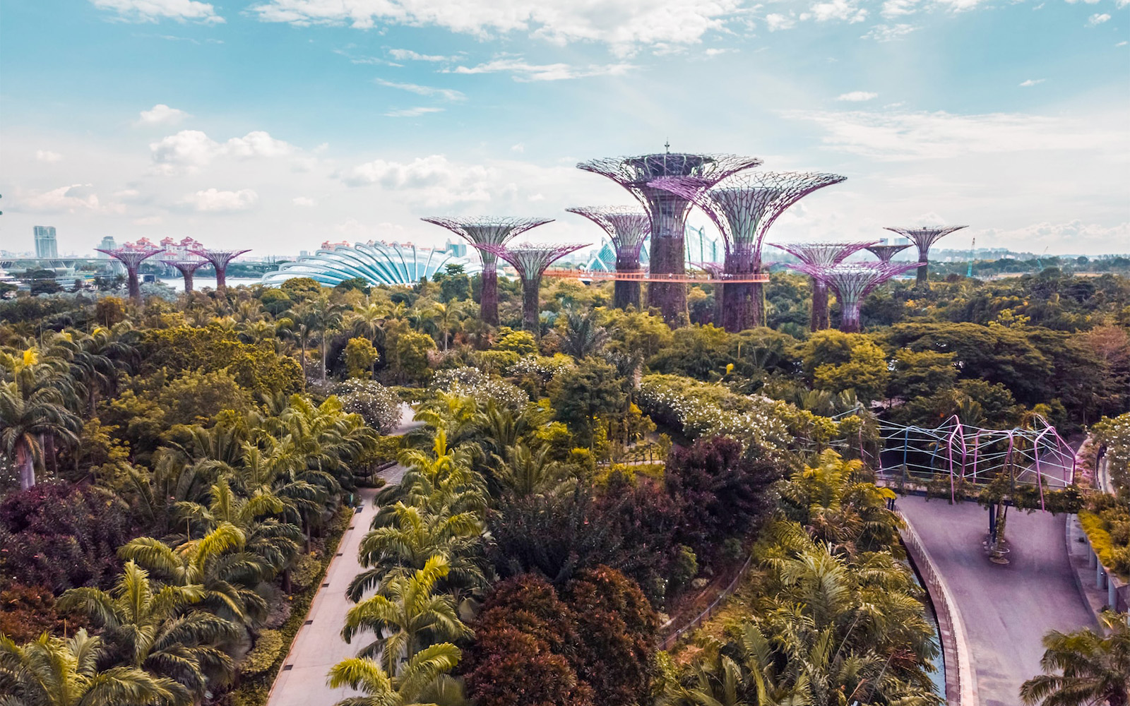 Supertree Grove location