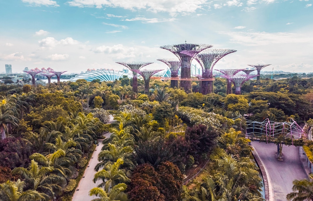 Supertree Grove location