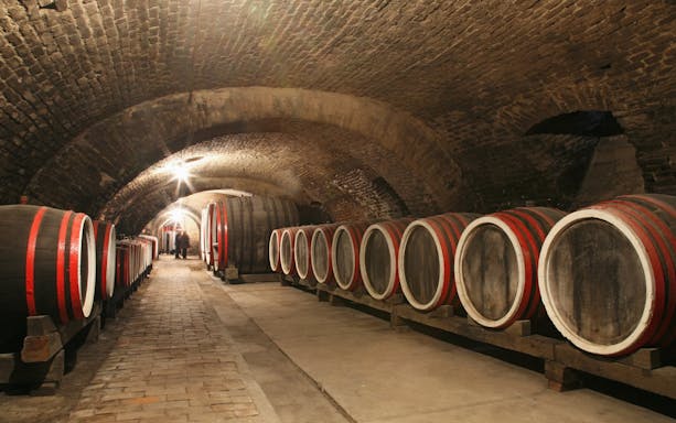Old wine cellar with wooden barrels lining a brick-arched corridor.