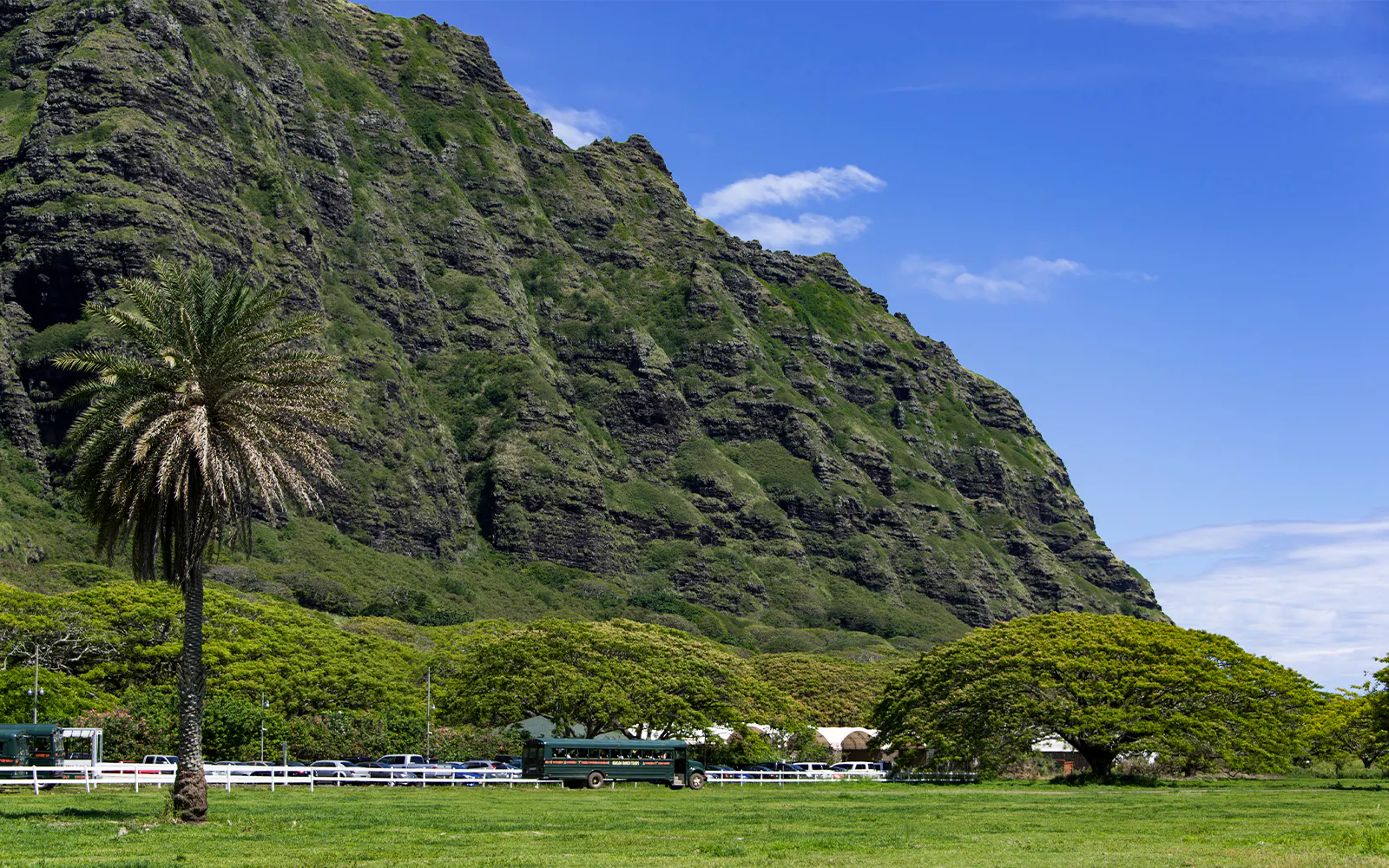 Vintage school bus touring Kaʻaʻawa Valley with lush greenery and mountain backdrop.