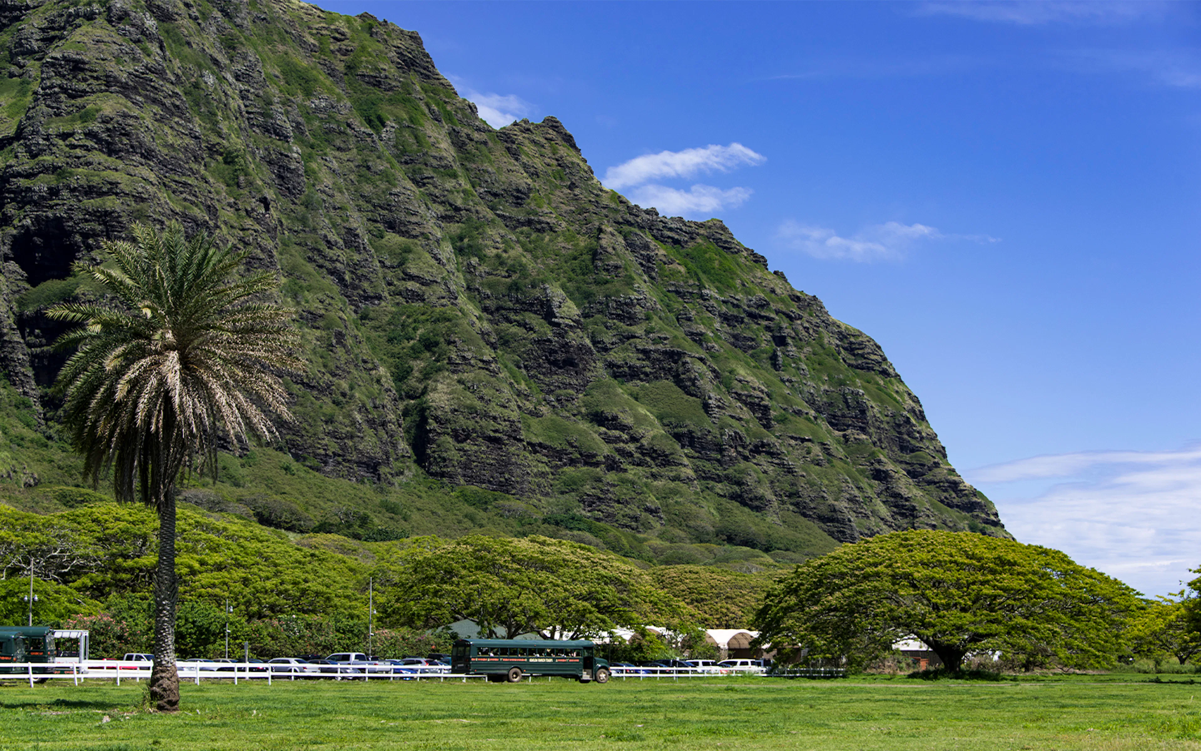 Vintage school bus touring Kaʻaʻawa Valley with lush greenery and mountain backdrop.