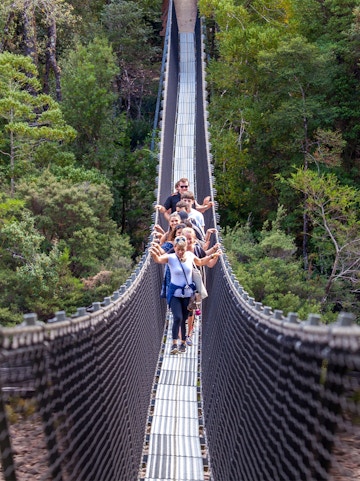 Visitors crossing a suspension bridge at Tahune Airwalk, Tasmania.