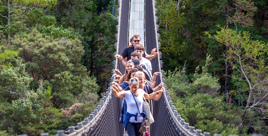 Tahune Airwalk & Hastings Caves